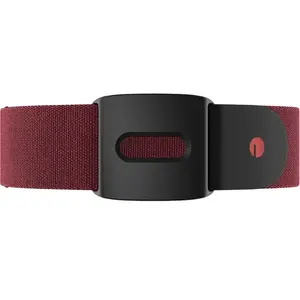 Polar Verity Sense Armbinde S-L günstig
