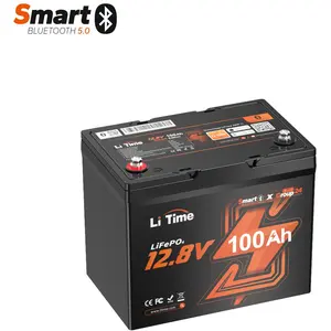 LiTime 12V 100Ah Group24 Wohnmobil Bluetooth LiFePO4 Batterie für Mini... günstig