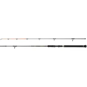 Spinnrute Penn Regiment IV Pilk 20-80g Silber 2,40 m günstig