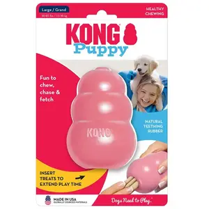 Kong Welpenspielzeug günstig