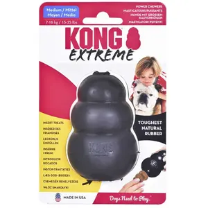 Kong Extreme Chew M Spielzeug günstig
