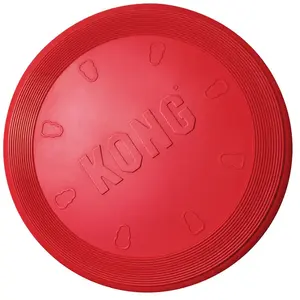 Kong Fliegendes Frisbee-spielzeug günstig