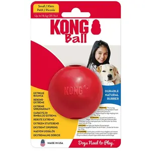 Kong Kb2e Ball günstig