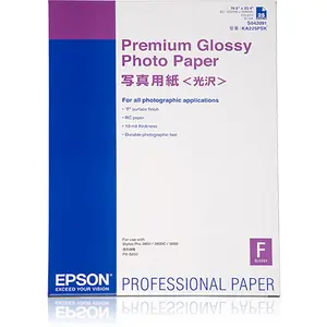 Epson C13s042091 A2 25 Einheiten günstig