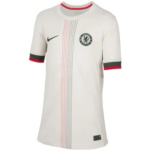 Nike Fußballtrikot Nike Performance Premier League günstig