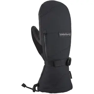 Dakine Leather Titan Gore-Tex Skifäustlinge Herren 001 - black S günstig