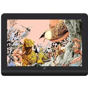 XP-Pen Artist Pro 16 Gen 2 (16", 5080 lpi), Grafiktablett, Schwarz