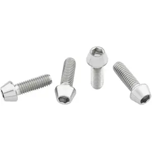 Wolf Tooth Titanium Standard Head Raw Flaschenhalter Schrauben One Size günstig