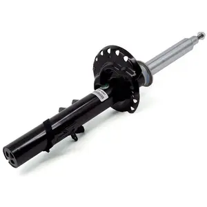 Arnott Stoßdämpfer Hinten Links für LAND ROVER Range Rover Evoque (L53... günstig