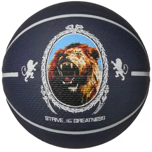 Basketball Nike Playground 2.0 8P L James Deflated Schwarz Größe 7 günstig