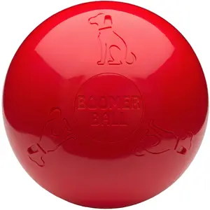 Company of Animals Boomer Ball, Hundespielzeug günstig