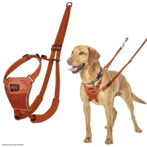 Halti No Pull Geschirr (Hund, Spazieren), Halsband + Leine günstig