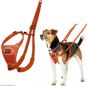 Company Of Animals Halti No Pull Hundegeschirr günstig