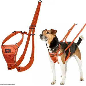 Company Of Animals Halti No Pull Hundegeschirr günstig