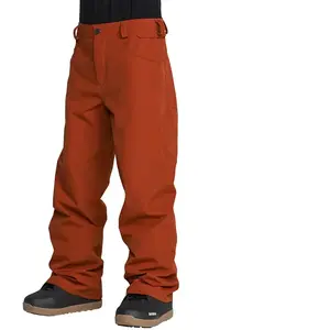 Volcom Nailer Hosen M günstig