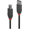 Bild von USB 2.0 Typ A an B Kabel, Anthra Line