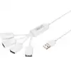 Bild von Slim Spider USB-Hub, USB-A 2.0 Stecker > 4x USB-A Buchse