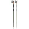 Bild von LEKI Nordic Walkingstöcke Flash Carbon schwarz | 120