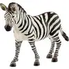 Bild von Wild Life Zebra Stute, Spielfigur