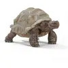 Bild von Riesenschildkroete Spielfigur