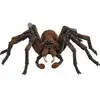 Bild von Wizarding World Harry Potter - Aragog, Spielfigur