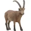 Bild von Wild Life Steinbock, Spielfigur