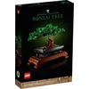 Bild von Bonsai Baum (10281)