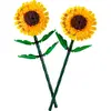 Bild von Botanicals Sonnenblumen