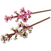 Bild von Cherry Blossoms