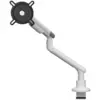 Bild von DM7120 MH Design Universal-Einzelmonitorarm, Weiß