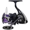 Bild von Daiwa Spinnrolle), Daiwa 24 Prorex X LT 2500 Spinnrolle
