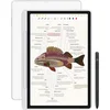 Bild von XP-PEN Magic Note Pad Tablet (10,95", 16384 Druckstufen)