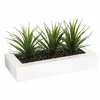 Bild von Kunstpflanze ALOE VERA Zimmerpflanze, Atmosphera Créateur d'intérieur, Höhe 17 cm