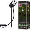Bild von Paulmann LED Gartenstrahler Plug & Shine, Plug & Shine, LED fest integriert, Warmweiß, LED-Modul, 3000K 24V Anthrazit
