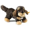 Bild von Steiff Kuscheltier Steiff Moritz Rauhaardackel, dunkelgrau gespitzt, 30 cm