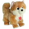 Bild von Teddy Hermann® Kuscheltier Zwergspitz, 22 cm