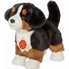 Bild von Teddy Hermann® Kuscheltier Berner Sennenhund, 23 cm, zum Teil aus recyceltem Material
