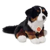 Bild von Teddy Hermann® Kuscheltier Berner Sennenhund, sitzend, 29 cm, zum Teil aus recyceltem Material