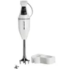 Bild von ESGE-Zauberstab Stabmixer ESGE-Zauberstab® M 100 Design 90120, 120 W