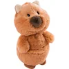 Bild von Nici Kuscheltier NICI Selection, Quokka Quokka-Mola, 22 cm schlenkernd