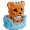 Bild von Nici Kuscheltier Little Paws, Hund Yorkshire, 12 cm, im Körbchen blau