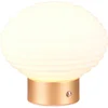 Bild von Reality Leuchten LED Tischleuchte EARL, USB-Ladefunktion, mehrere Helligkeitsstufen, LED fest integriert, Warmweiß, kabellose Akku Tischlampe, Glasschirm, USB-C Ladekabel, Touchdimmer