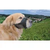 Bild von Nobby Maulkorb Nobby Hundemaulkorb M schwarz, Nylon
