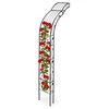 Bild von relaxdays Rosenbogen Halbrunder Rosenbogen zur Wandmontage, 4 St.