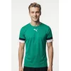 Bild von PUMA Fußballtrikot TEAMRISE JERSEY Regular Fit, mit Rundhalsausschnitt, mit Mesh-Details an den Ärmeln