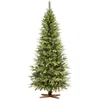 Bild von Fairytrees Künstlicher Weihnachtsbaum FT05, Nordmanntanne SLIM Premium, NORDMANNTANNE SLIM Premium