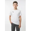 Bild von PUMA Trainingsshirt TEAMGOAL CASUALS TEE JR für Jugendliche, Kurzarm, für sportliche Aktivitäten