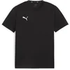 Bild von PUMA T-Shirt TeamGoal CasuaLongsleeve Tee