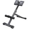Bild von GORILLA SPORTS Rückentrainer E-Series Rückentrainer, (1-tlg)