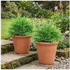Bild von Kunstpflanze Fake Plant Kunstbaum Boston-Farn, HOMCOM, Höhe 60 cm, UV-beständig, 2er Set, Outdoor geeignet